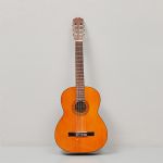 489477 Gitarr